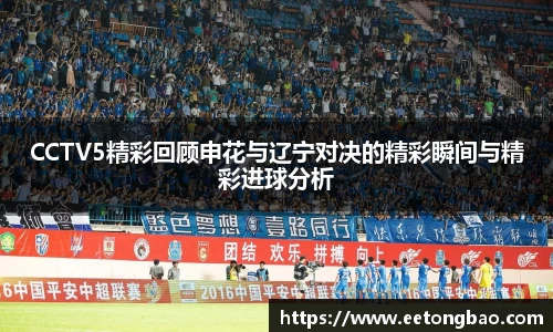 CCTV5精彩回顾申花与辽宁对决的精彩瞬间与精彩进球分析